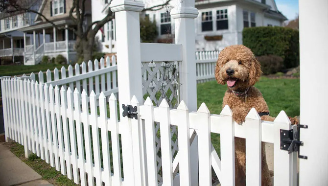Choose The Best Fence Solution For Your Needs At The Best Price.
