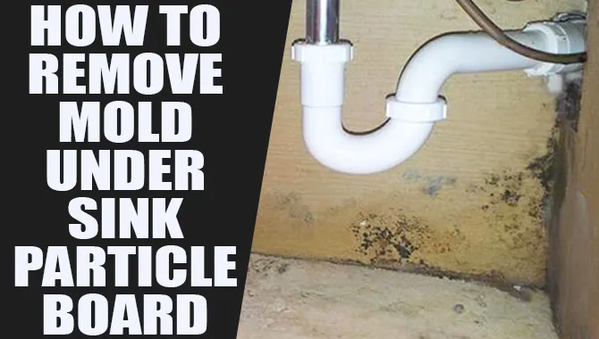 How To Remove Mold Under Sink Particle Board