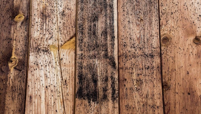 How to Prevent Mold on Deck Wood