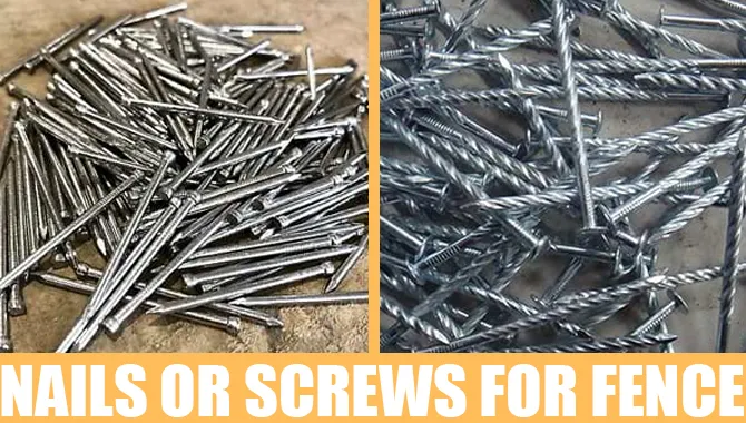 Nails Or Screws For Fence – Which Should You Choose?