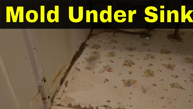 Procedure of Removing Mold Under Sink Particle Board