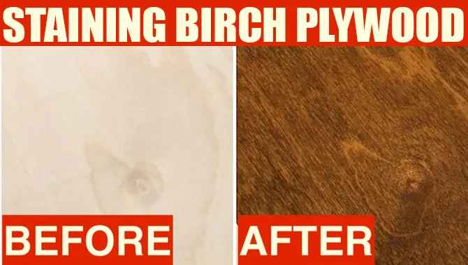 Staining Birch Plywood - Best Ways To Do It