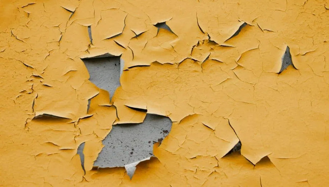 Different Types Of Paint Failure