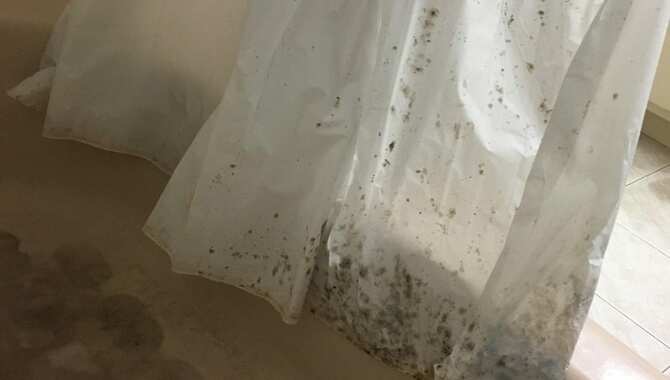How To Remove Black Mold From Shower Curtains