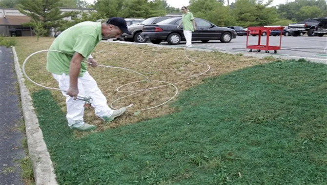 Turf Painting With Removable Chalk Or Permanent Paint