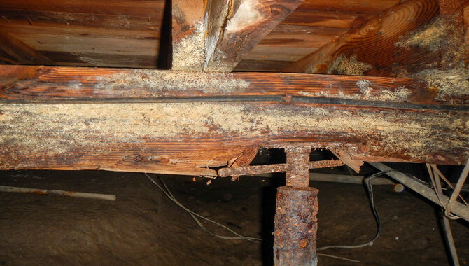 What Are The Types Of Decay That Can Affect Floor Joists?