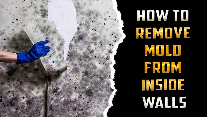 How To Remove Mold From Inside Walls