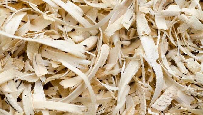 9 Ways To Dispose Of Wood Chips