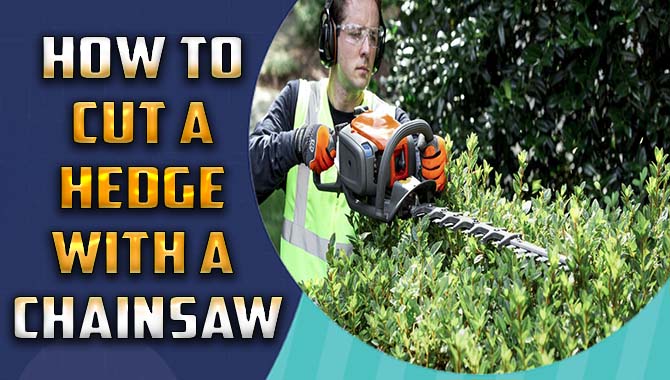 How To Cut A Hedge With A Chainsaw