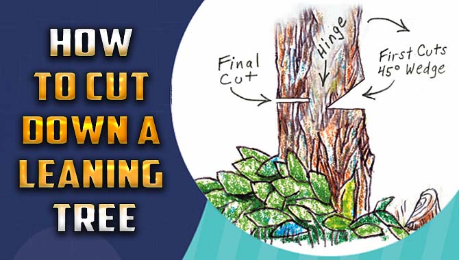 How To Cut Down A Leaning Tree