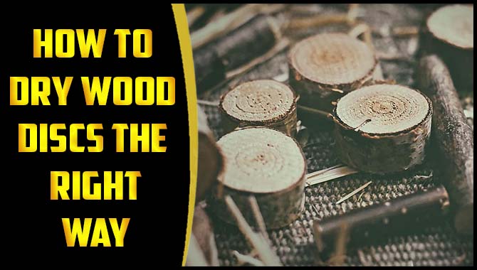 How To Dry Wood Discs The Right Way