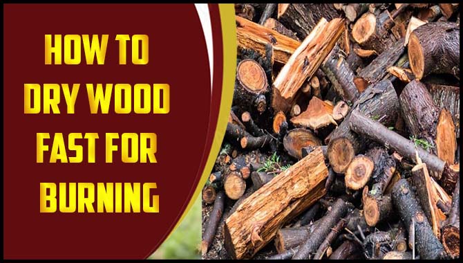 How To Dry Wood Fast For Burning