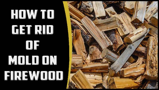 How To Get Rid Of Mold On Firewood
