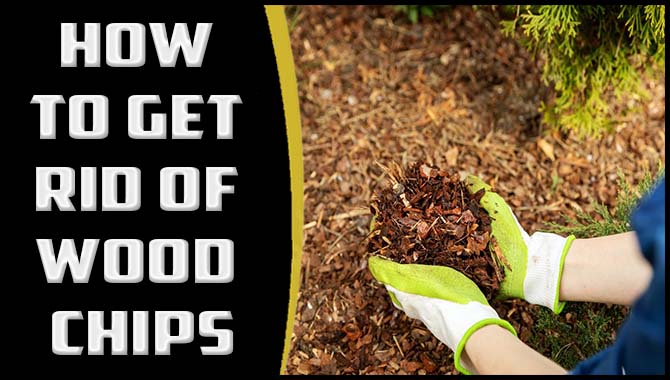 How To Get Rid Of Wood Chips