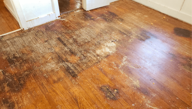 How To Identify Water Damage On Wood Floors