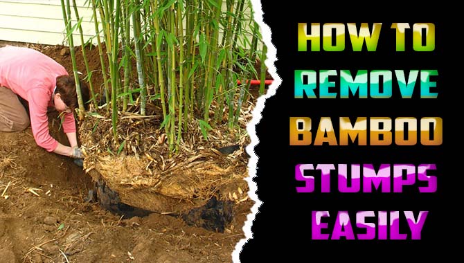 How To Remove Bamboo Stumps Easily