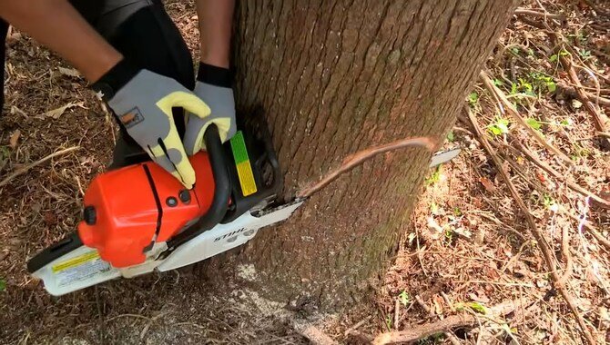 Use A Chainsaw To Chop Off The Top Of The Tree