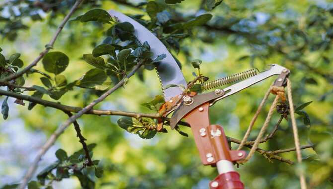 Use A Pole Or Circular Saw To Cut Through Hedges With Thick Branches
