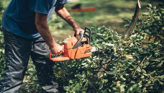 Ways To Cut A Hedge With A Chainsaw