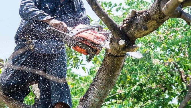 What Are Some Possible Risks Associated With Felling A Leaning Tree In The Opposite Direction