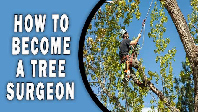 How To Become A Tree Surgeon - The Complete Guide