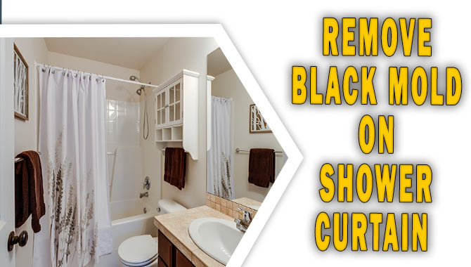 Remove Black Mold On Shower Curtain