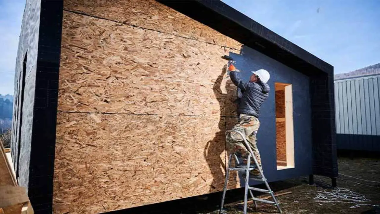 Factors To Consider When Choosing Paint For Plywood