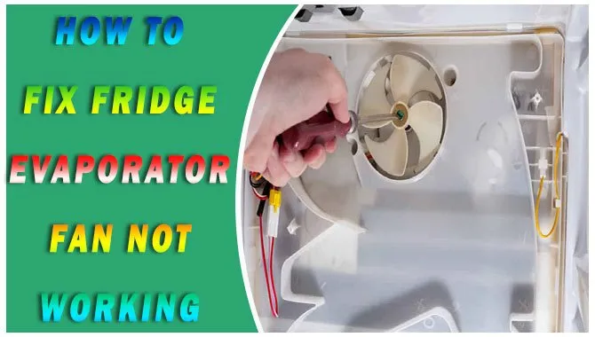 How To Fix Fridge Evaporator Fan Not Working