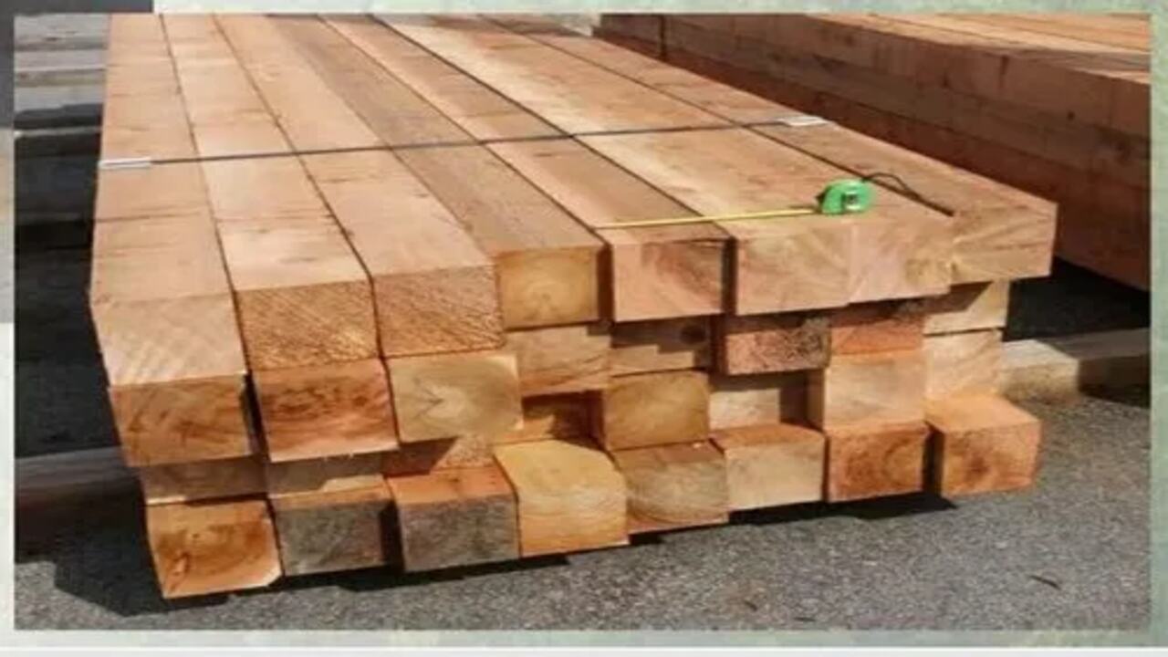 What Is Cedar Wood