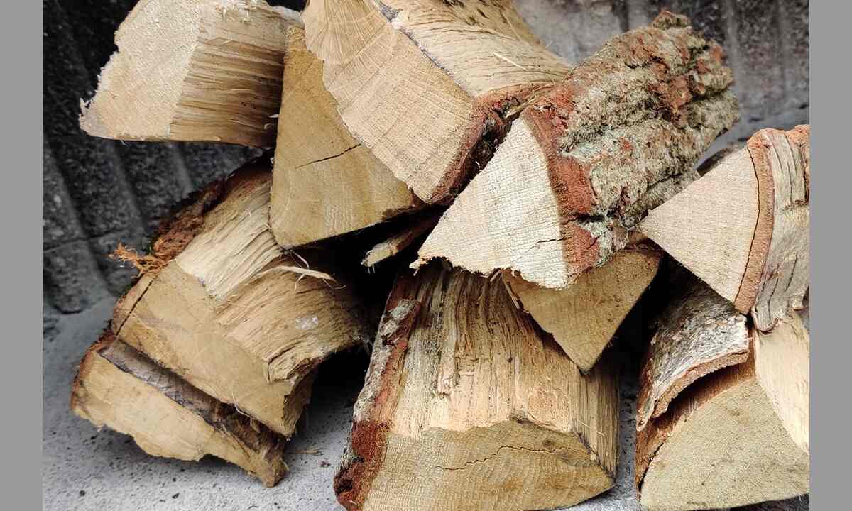 6 Easy Ways To Dry Logs