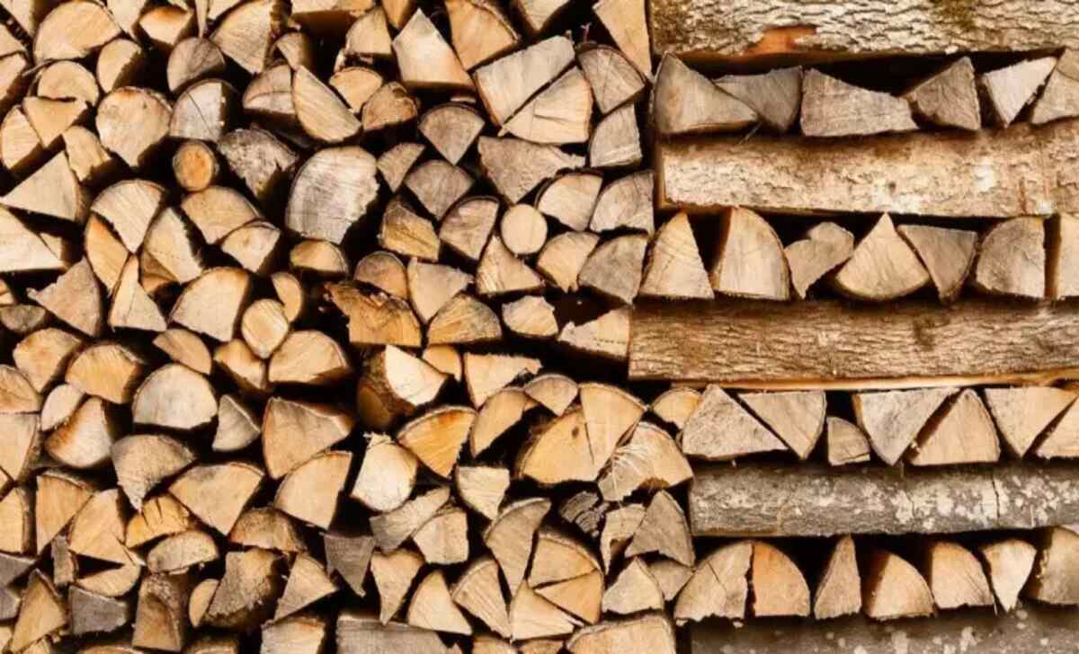 A Few Effective Methods To Identify Wood Logs