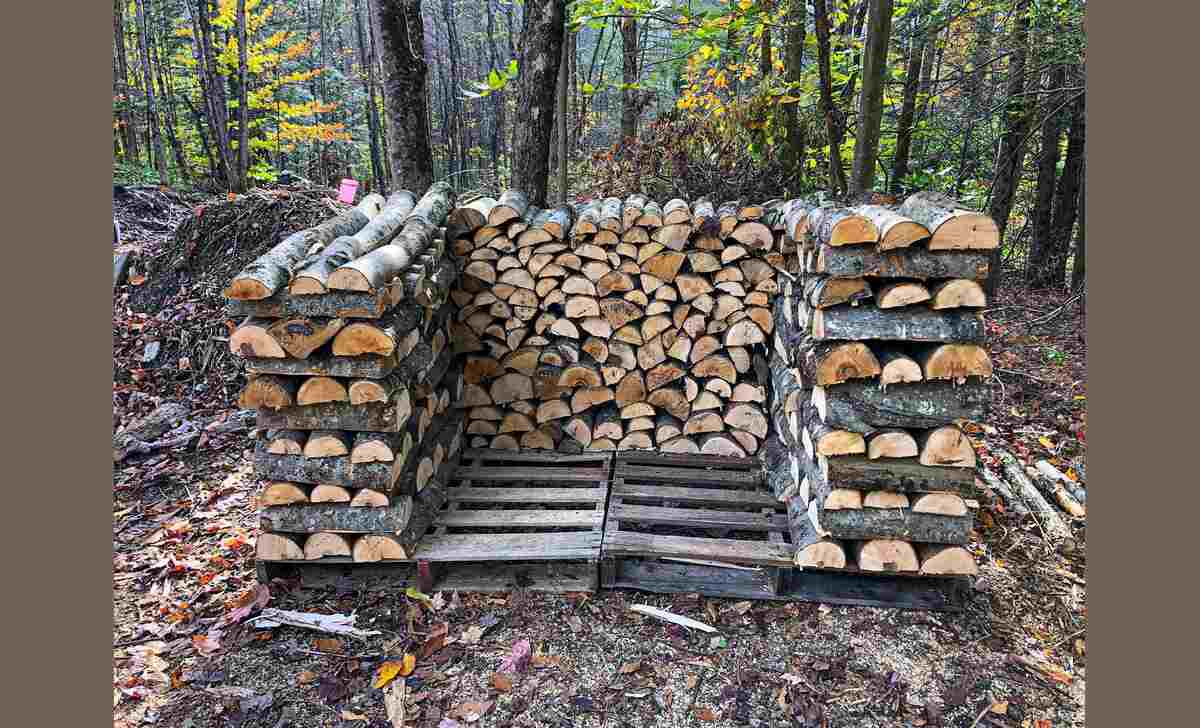 Cut Your Firewood