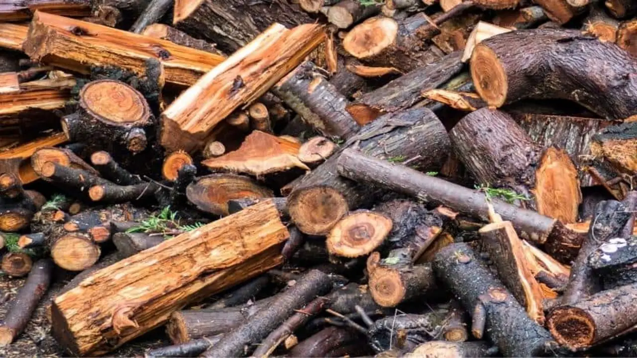 Fastest Way To Dry Wet Firewood 5 Quick Ways
