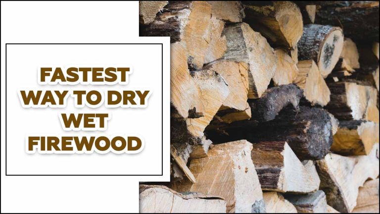 The Fastest Way To Dry Wet Firewood: The Simple Diy Method