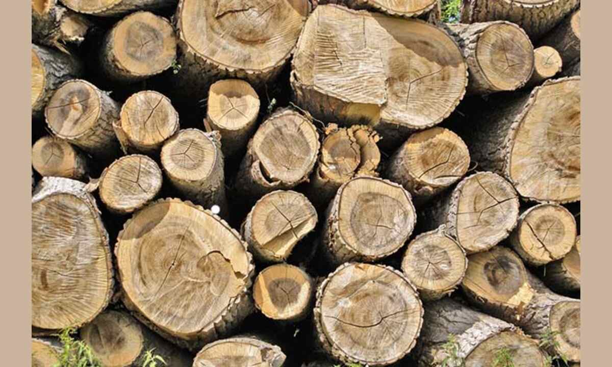 How Do I Use Drying Logs