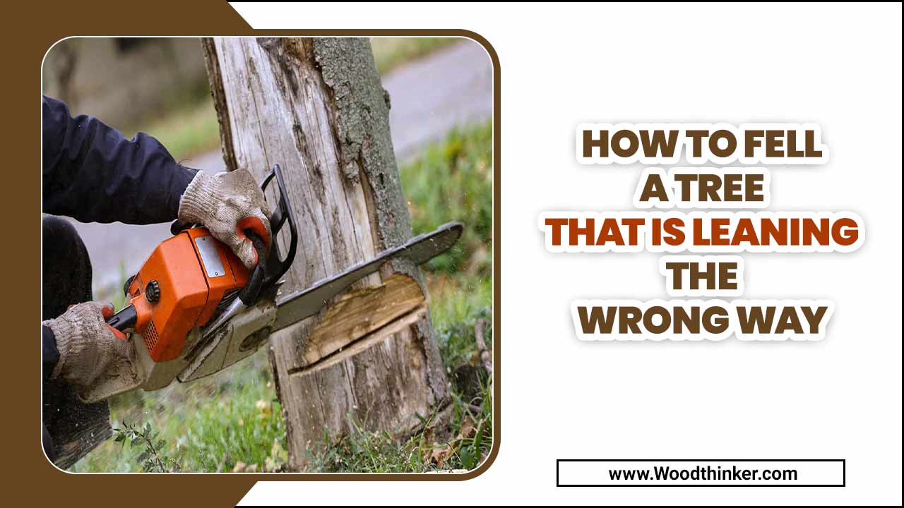 How To Fell A Tree That Is Leaning The Wrong Way