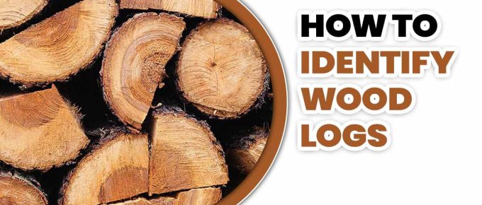 How To Identify Wood Logs