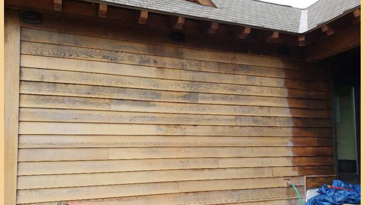 How To Prevent And Remove Mold From Cedar Siding In Just 4 Steps