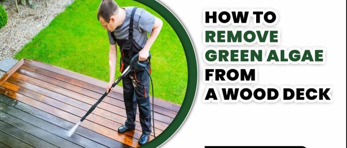 How To Remove Green Algae From A Wood Deck