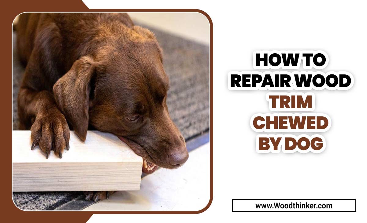 How To Repair Wood Trim Chewed By Dog