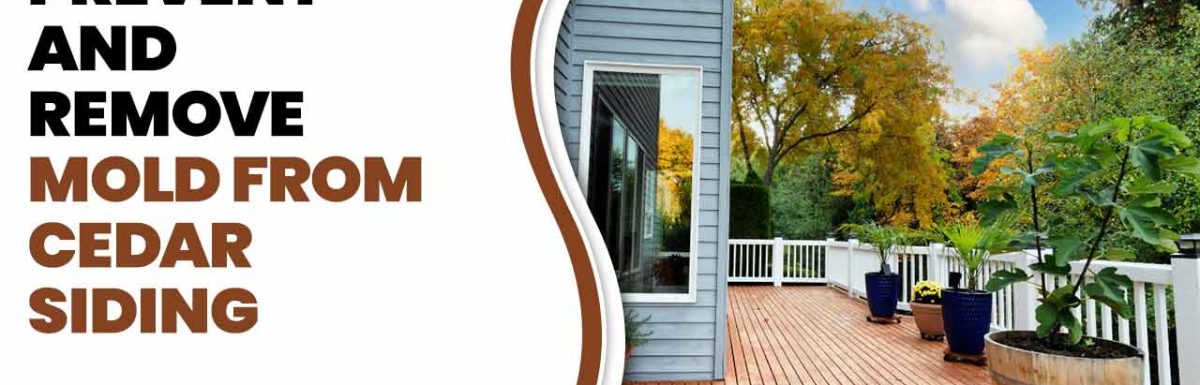 Prevent And Remove Mold From Cedar Siding