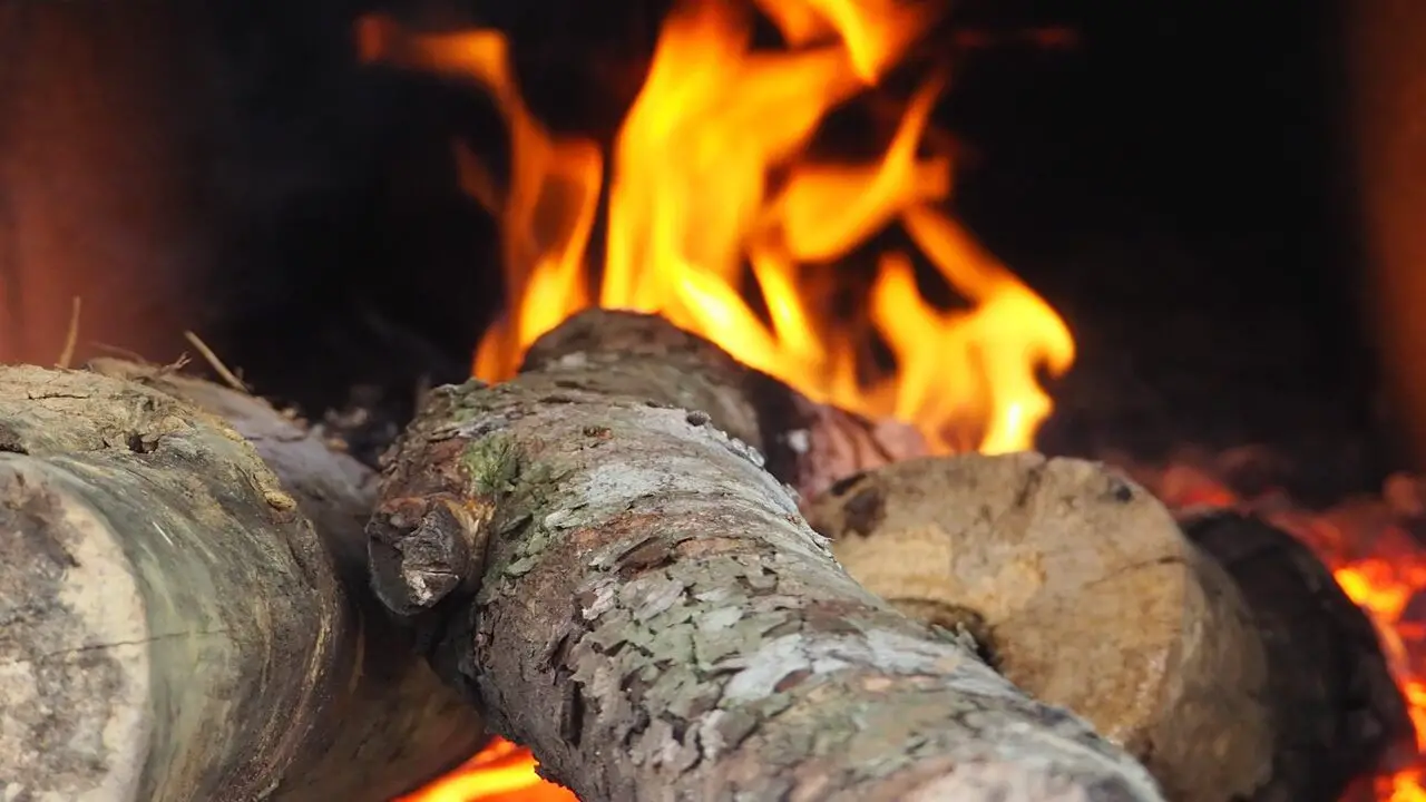 The Risks Of Burning Wet Firewood