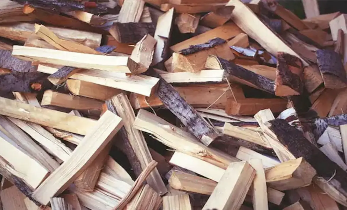 Tips For Selecting The Right Type Of Wood For Kindling