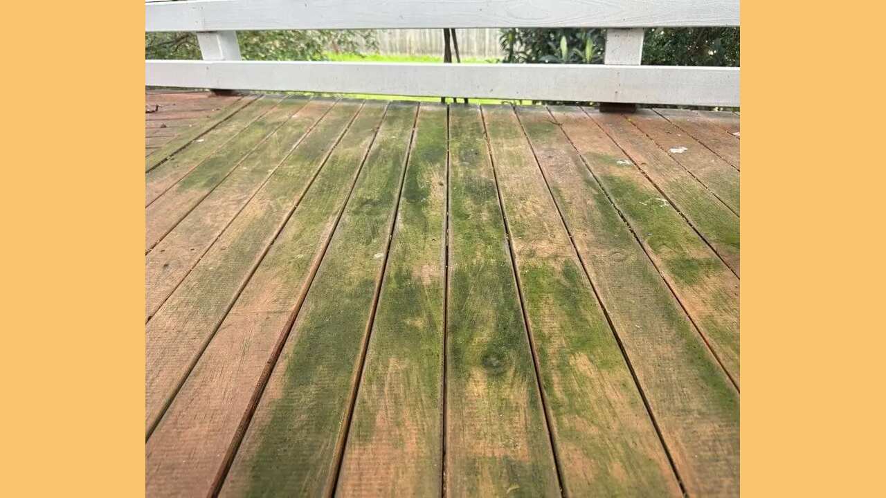 Why It's Important To Remove Algae From Your Deck