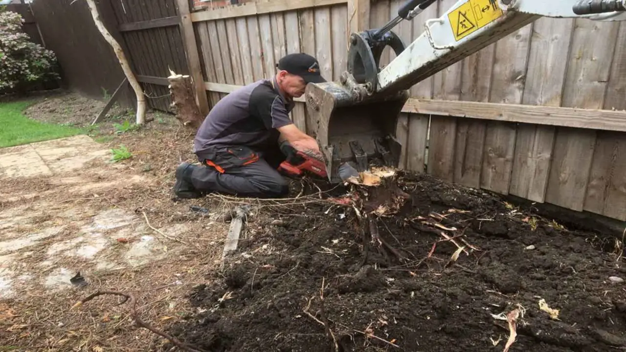 5 Easy Ways To Remove Hedge Roots
