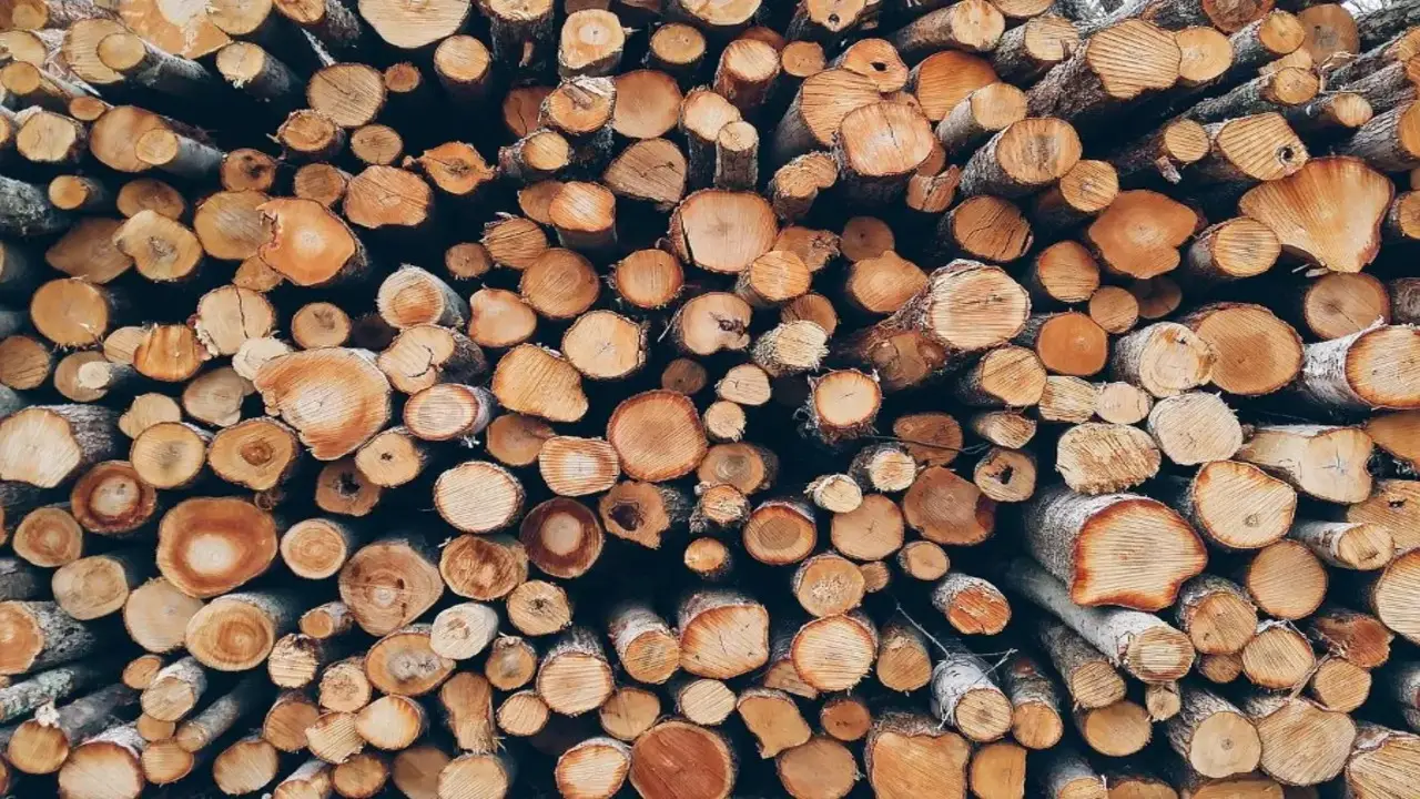 7 Awesome Ways To Make Money Selling Firewood