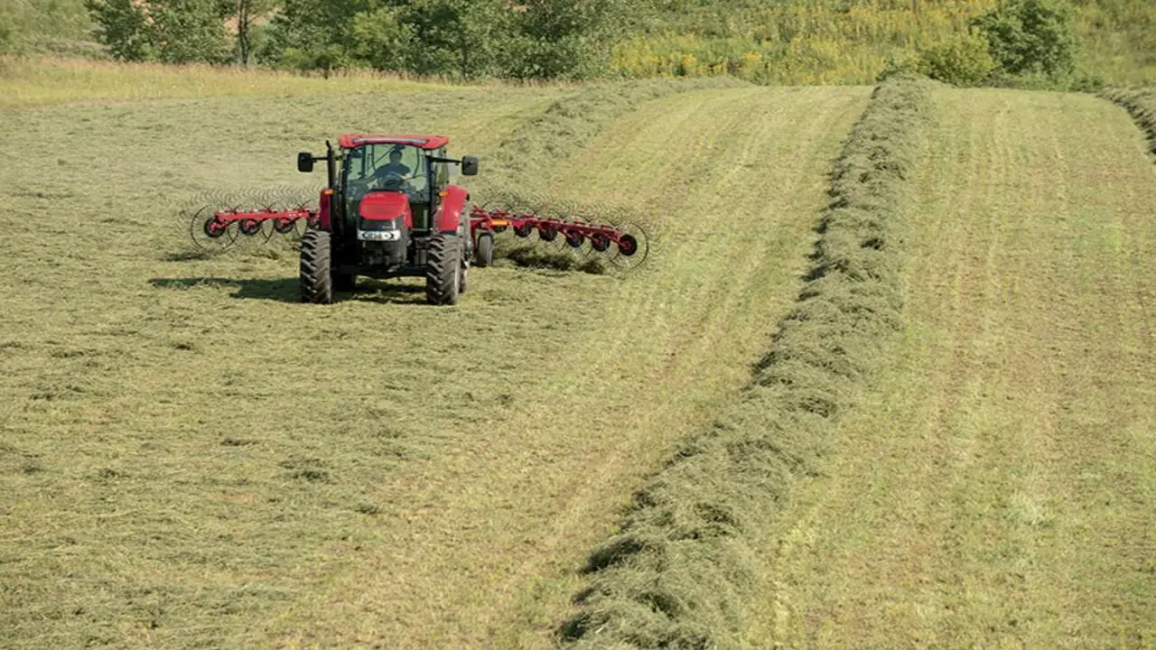 Choose The Right Cutting Method For Your Hayfield