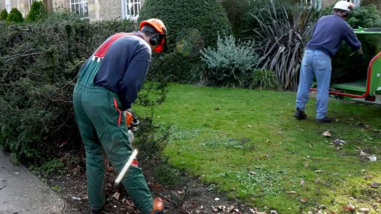 Cutting And Removing The Hedge Roots