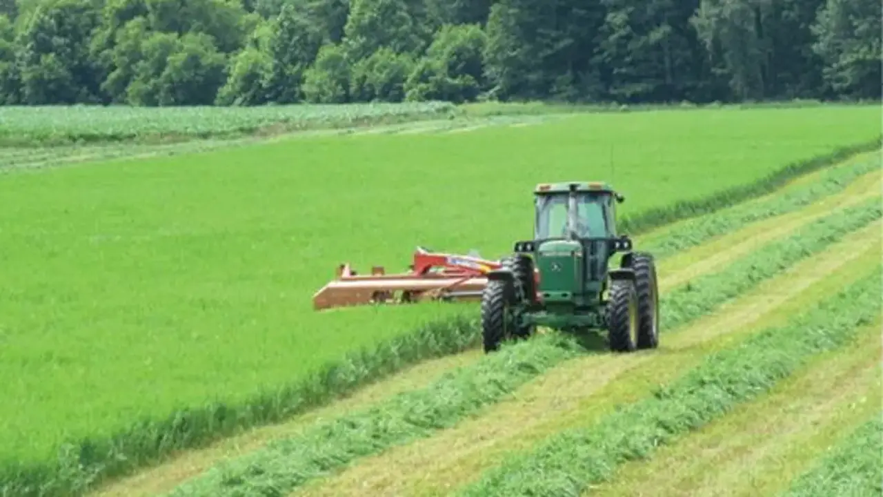 Determine The Right Time To Cut Your Hayfield