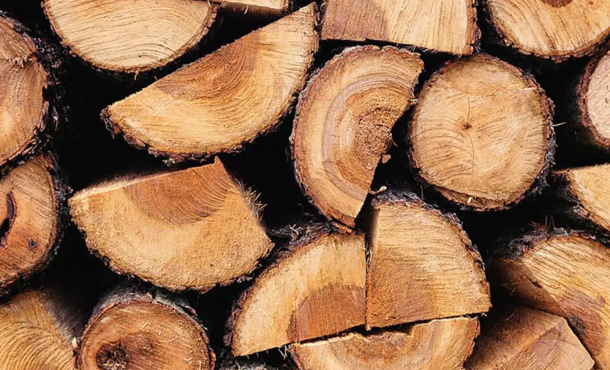 Different Types Of Firewood And Their Characteristics